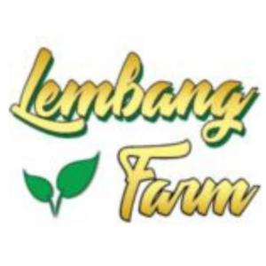 Staff Produksi & Packing