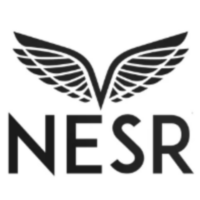 Lowongan Kerja PT NPS Energy Indonesia (NESR Indonesia) NESR INDONESIA Field Professional Program 2026